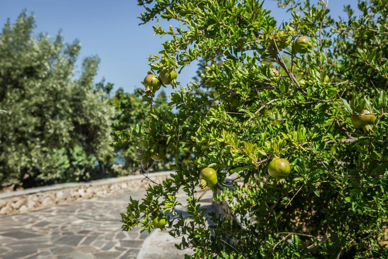Ploes Luxury Cottages Pesádha Eksteriør billede