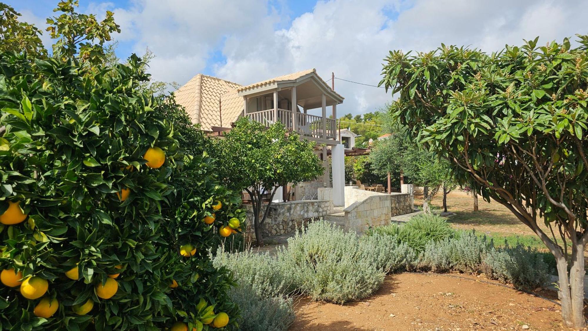 Ploes Luxury Cottages Pesádha Eksteriør billede