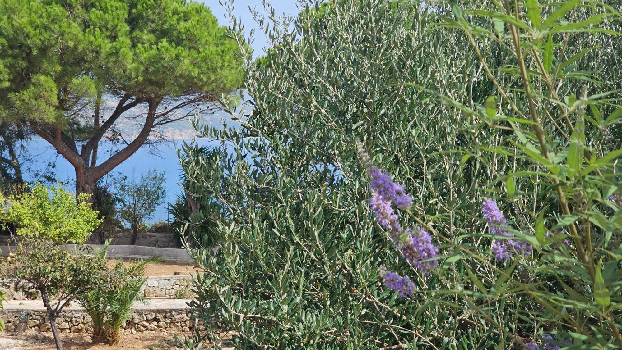 Ploes Luxury Cottages Pesádha Eksteriør billede